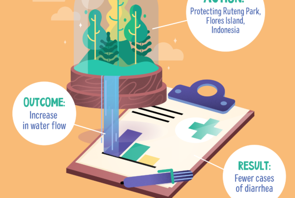 Forests improve water supply and reduce disease in Ruteng Park, Flores Island, Indonesia.