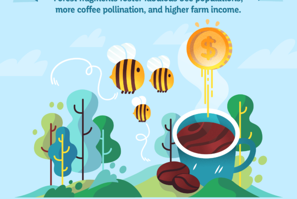 Forests support bee populations, increase pollination and yields of coffee beans, and raise profits by $62,000 per year for a Costa Rica coffee farm - all for free.