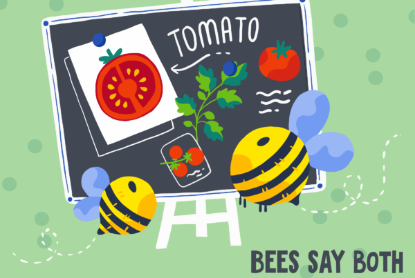 Bees support ~$1 billion of the tomato crop in Brazil. Most of this is in Goiás state, where the tomato industry supports 86,000 jobs.