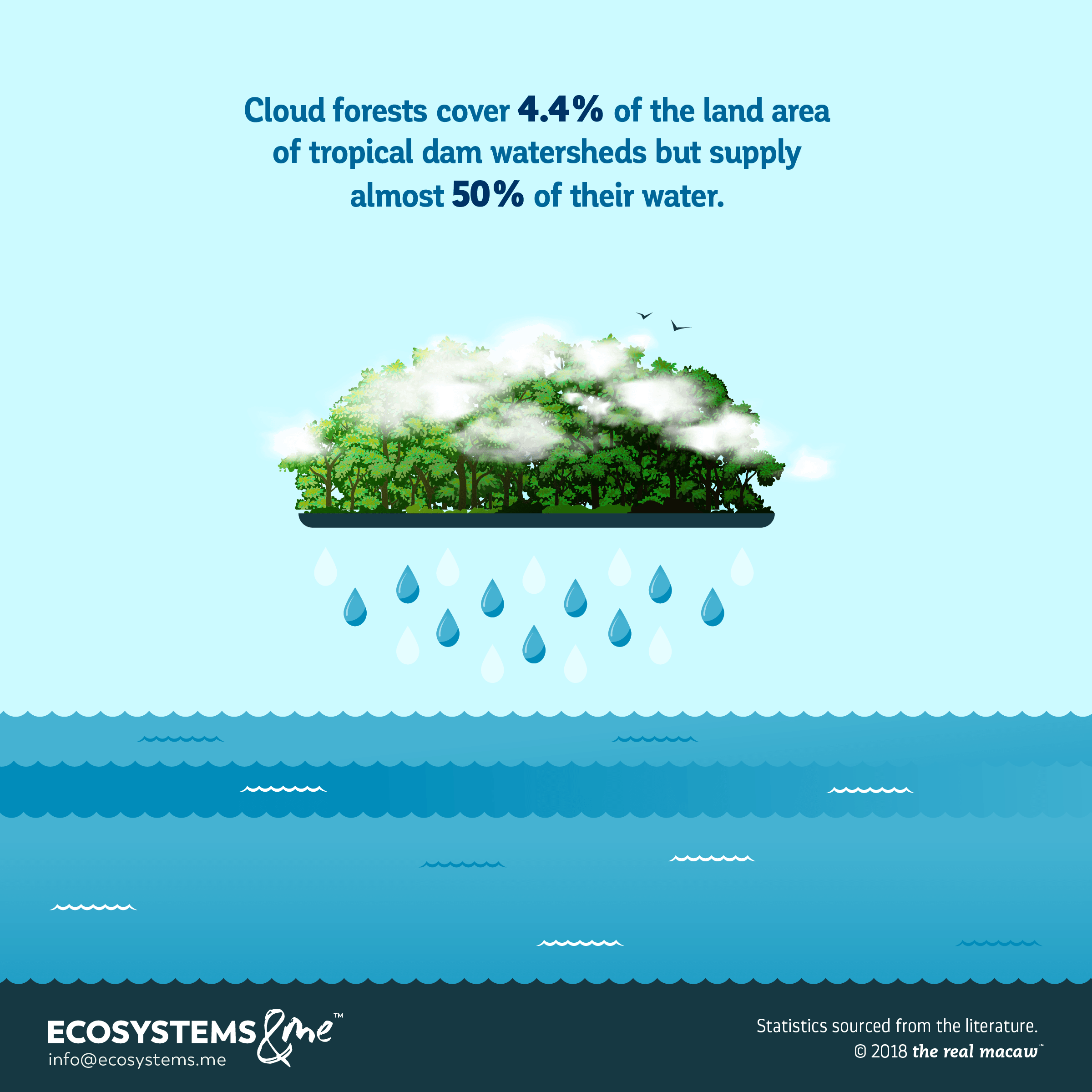 Cloud forests are only 4.4% of the watershed land area of tropical dams but supply almost 50% of surface water balance.