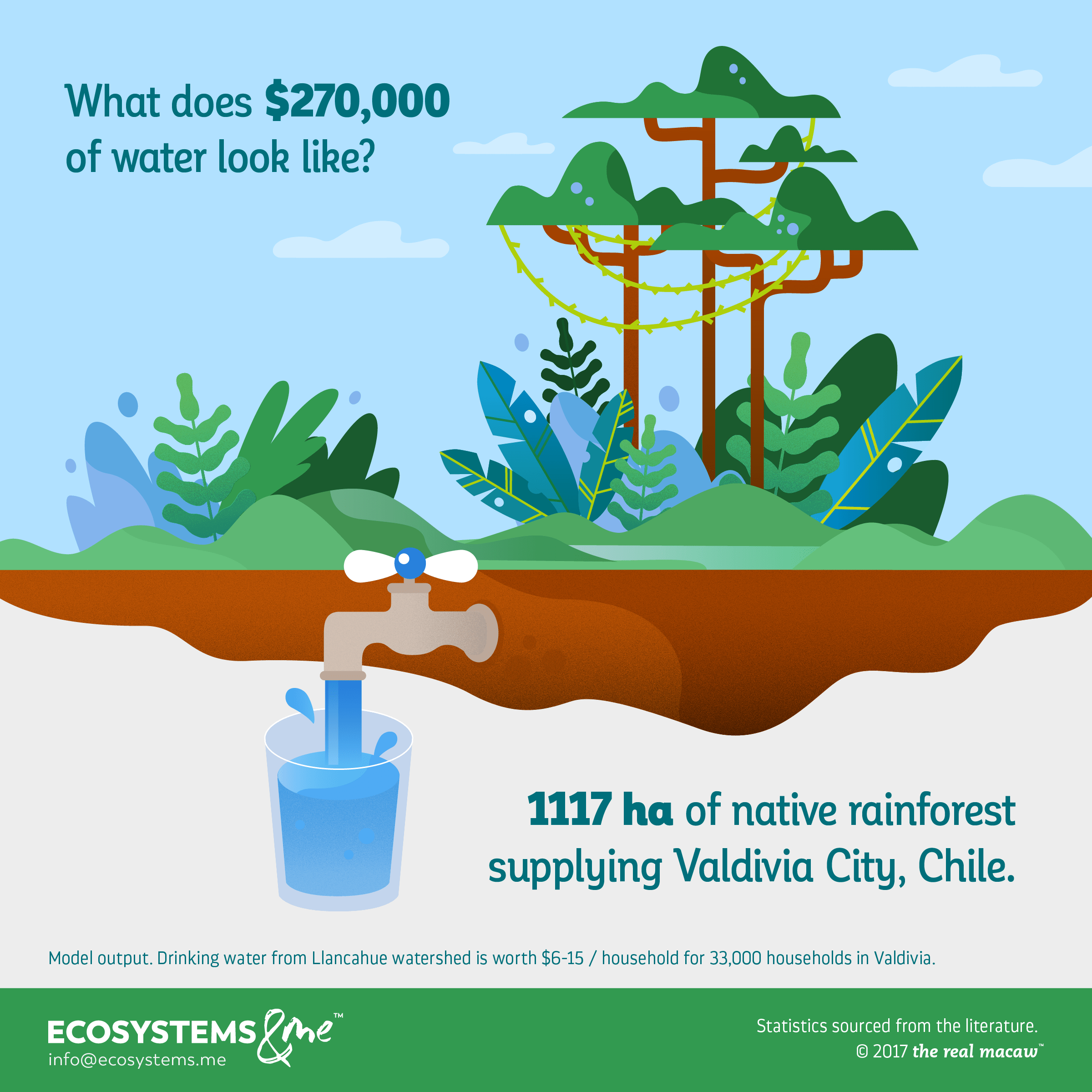 1117 hectares of native rainforests in the Llancahue Watershed supply drinking water worth $270,000 to the city of Valdivia, Chile.