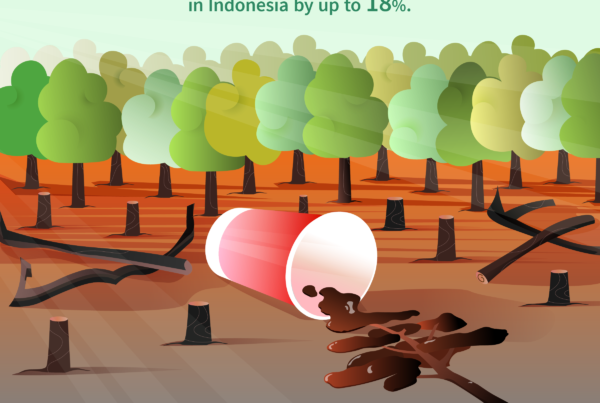 Deforestation in Indonesia can reduce yields by 18%, and incomes for coffee farms by 14%.