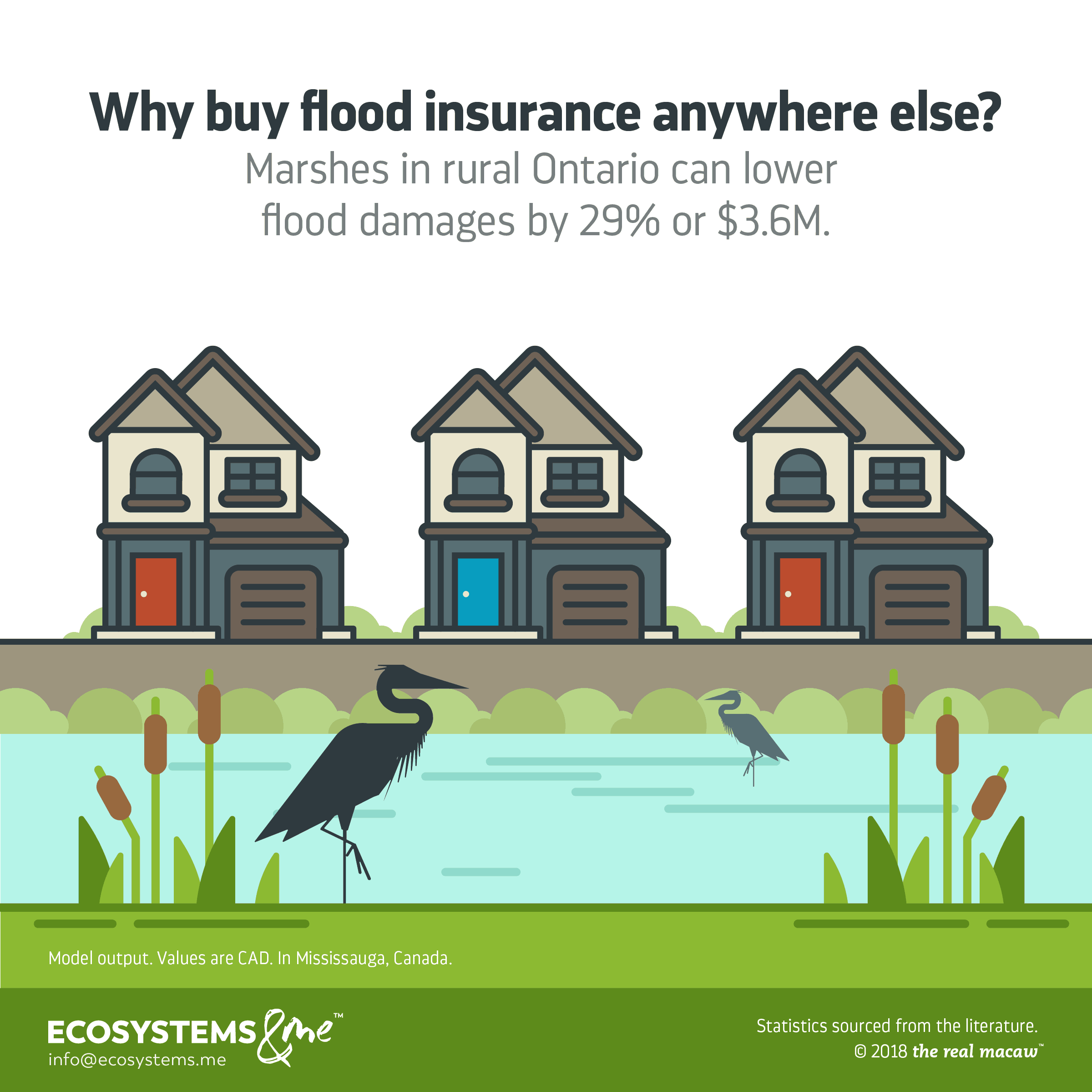 Marshes in rural Mississauga, Ontario, can help reduce flood damages by 29% or $3.6 million CAD.