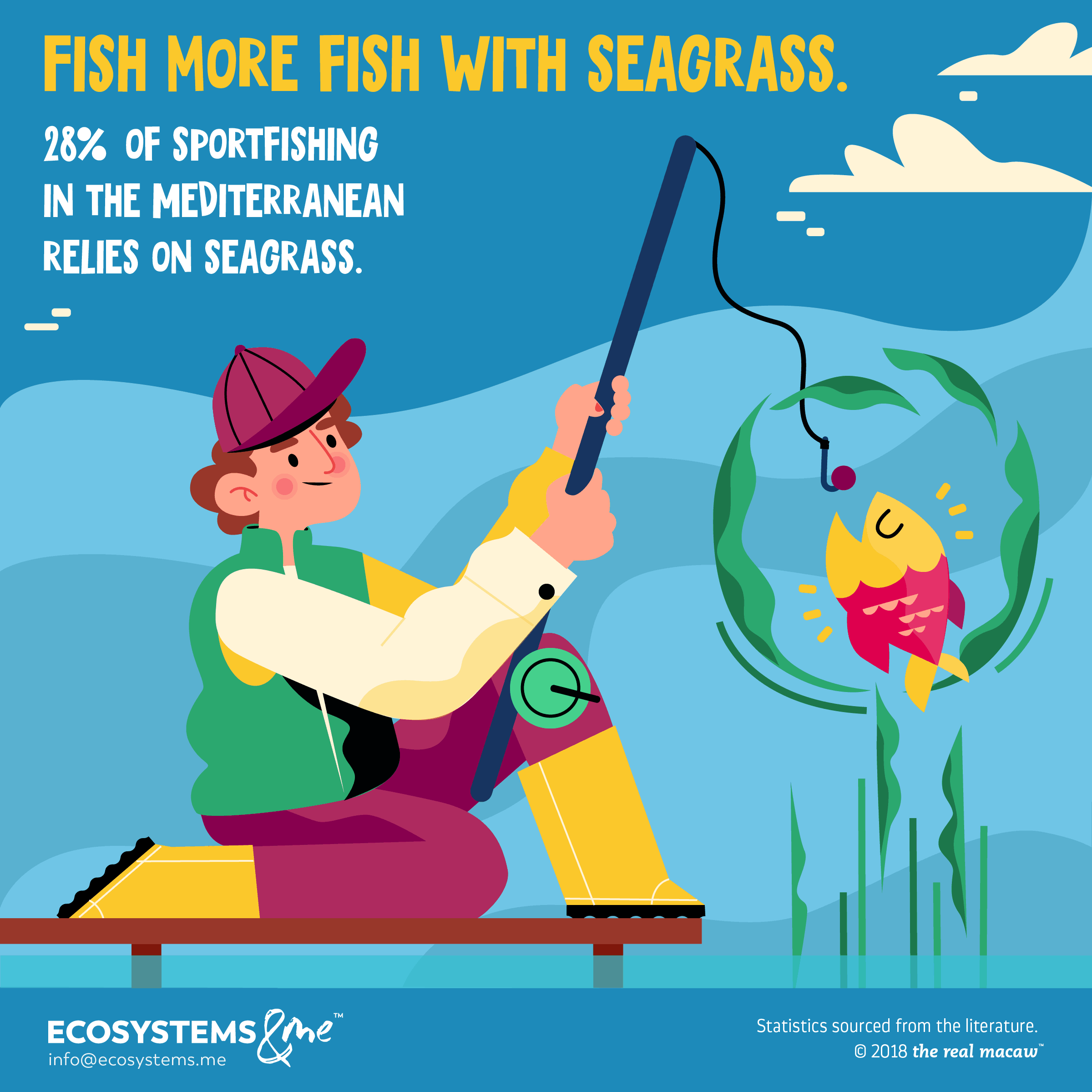 Fish more fish with seagrass. In the Mediterranean, 28% of sportfishing activity, worth €110 million, relies on seagrass.