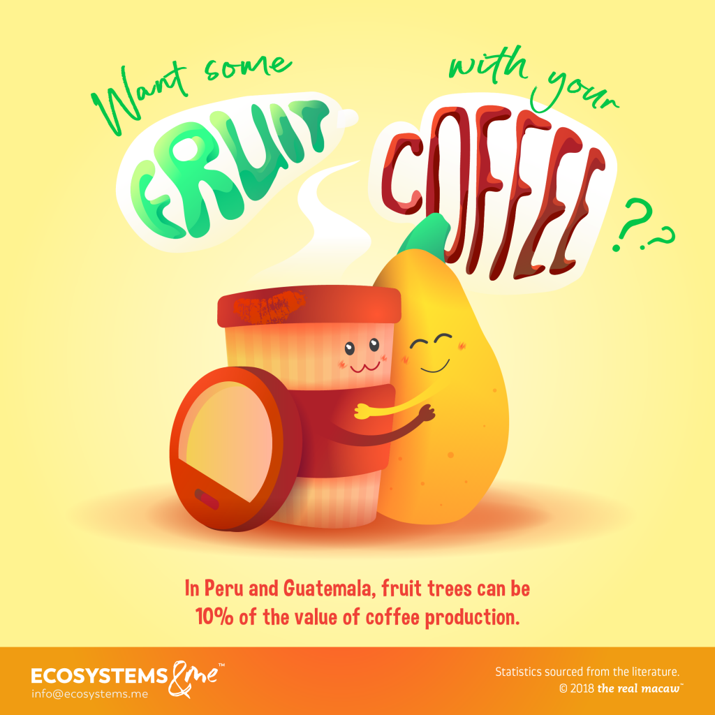 Fresh Fruit + Coffee A Match Made in Shade Ecosystems & Me
