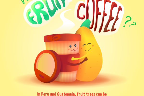 Fresh fruit from shade trees in Peru and Guatemala is a great alternative income for coffee farmers.