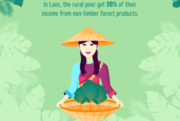 The rural poor in Laos get 90% of their income from forests - specifically non-timber forest products.