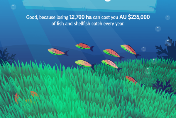 Losing 12,700 ha of seagrass costs fish and shellfish fisheries in South Australia AU $235,000 a year.