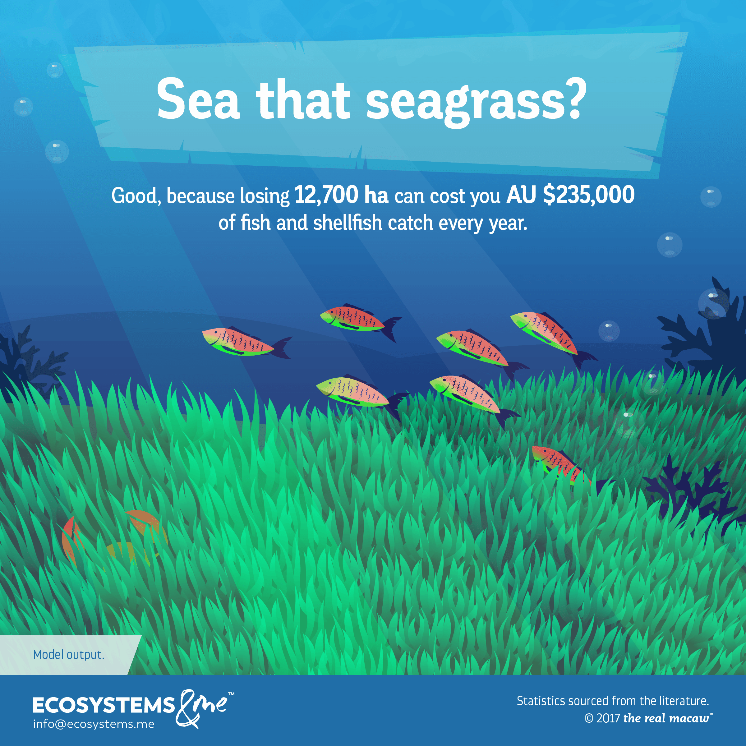 Losing 12,700 ha of seagrass costs fish and shellfish fisheries in South Australia AU $235,000 a year.