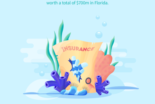 Corals, mangroves, and seagrass provide coastal protection for homes worth $700 million in the Florida Keys.