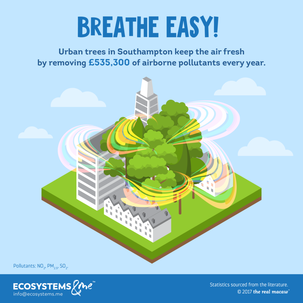 £535,000 of Fresh Air in Southampton Ecosystems & Me