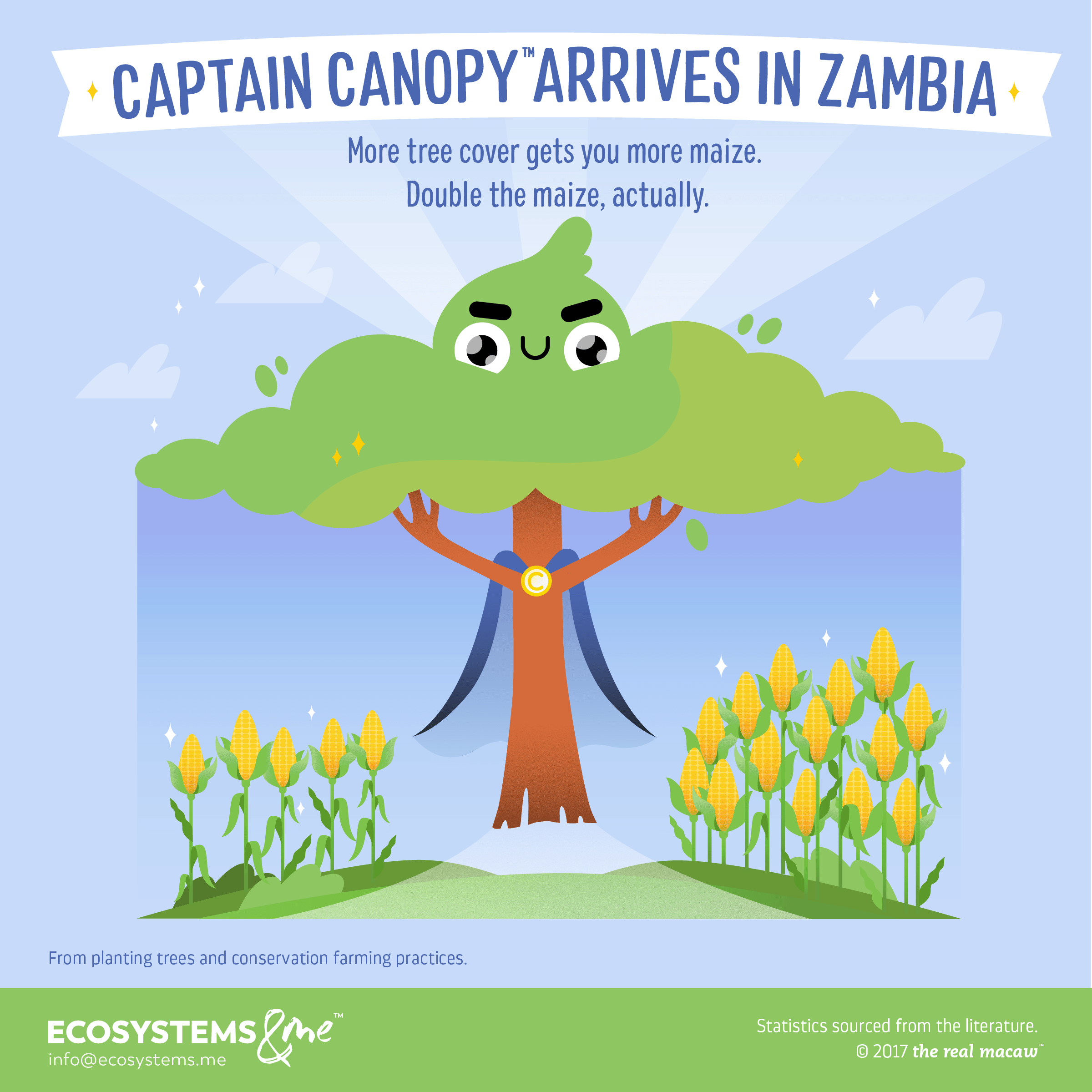 Agroforestry systems (tree planting and conservation farming) doubles average maize yield per hectare in Zambia.