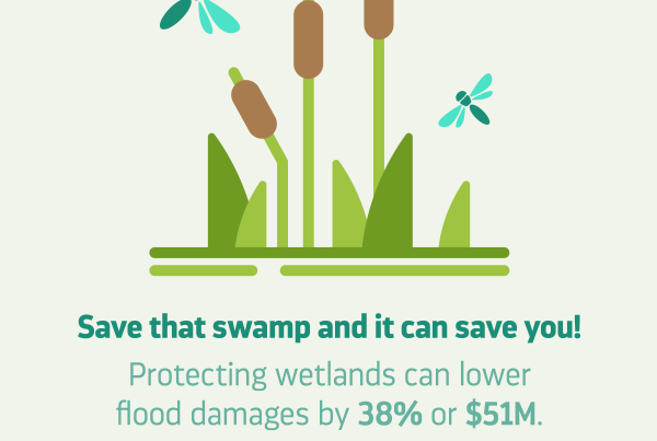 Protecting Waterloo wetlands can lower flood damages by 38%, or $1.1 million. Let the swamp save you!